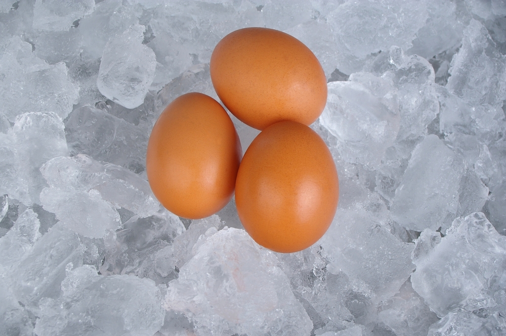 Egg Freezing 101: How Are Eggs Frozen?