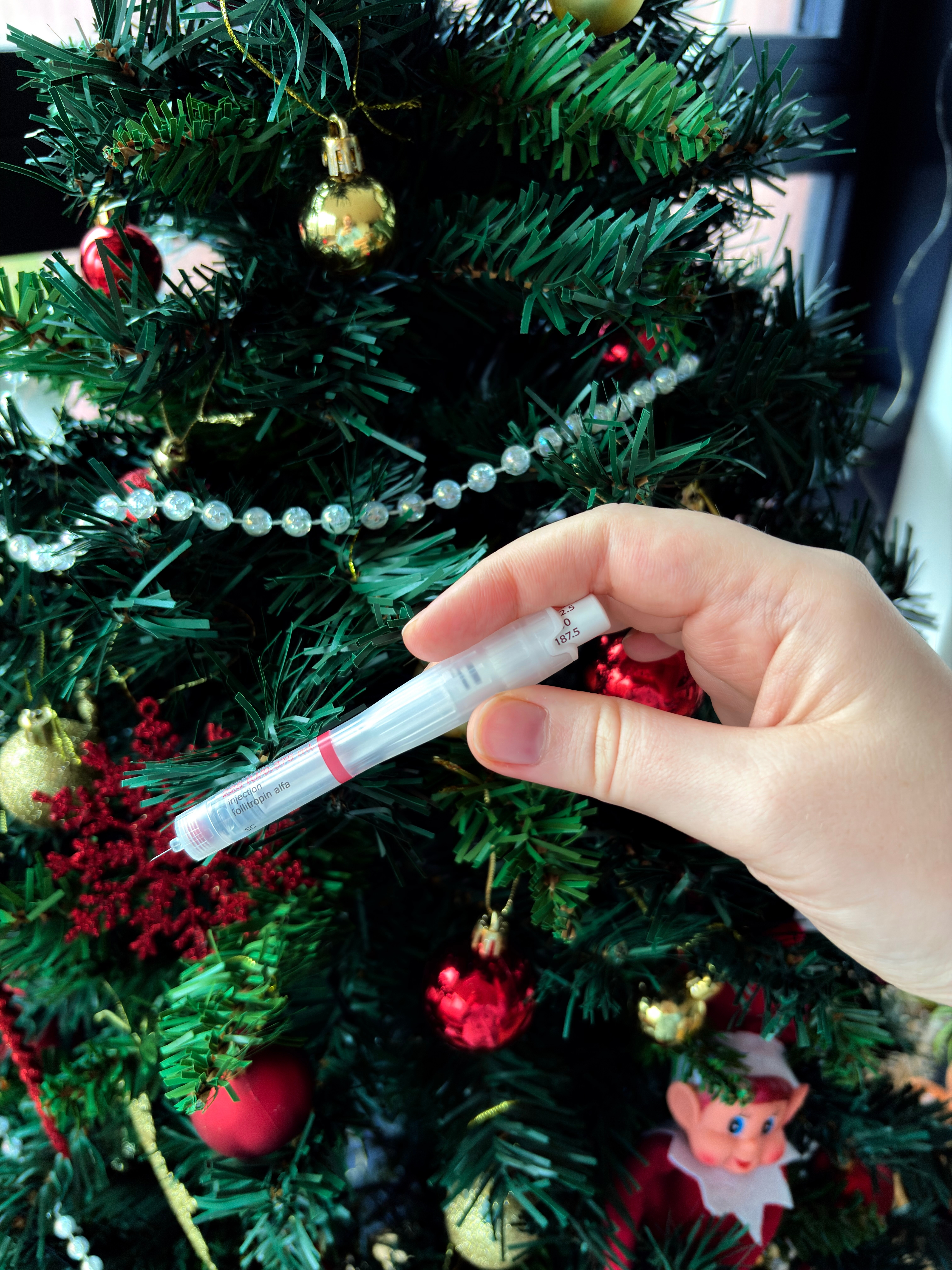 Finding Hope and Balance During the Holidays: A Fertility Specialist&rsquo;s Perspective