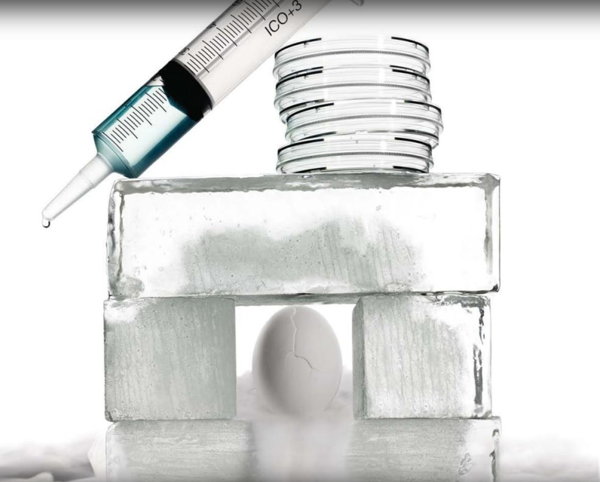 The Outer Reaches of Fertility: One Woman Makes History